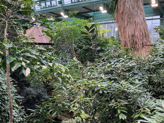 24-12-06 14-01-05 1638